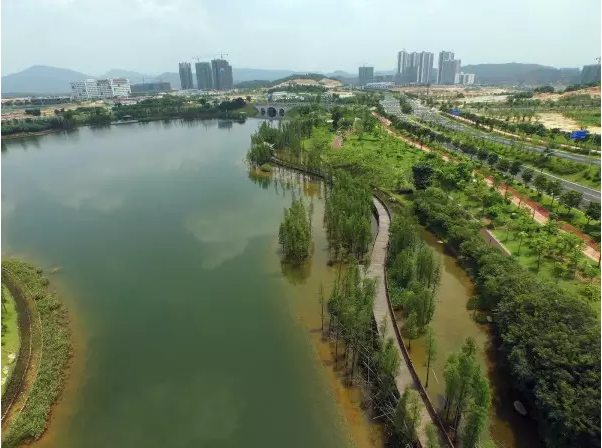 创业导报:知识城凤凰湖今年建成湿地公园